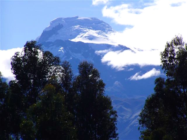 ecuador116